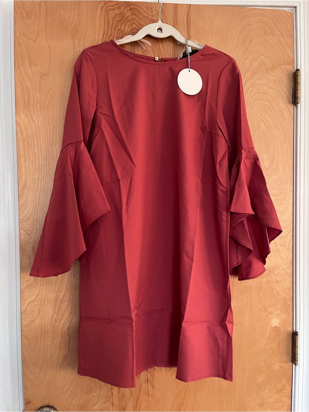 Ruffle Sleeve Mini Dress in Brick Red